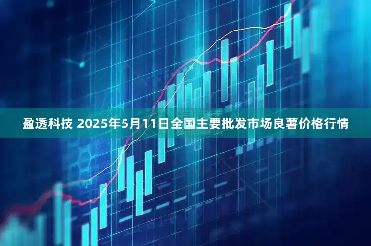 盈透科技 2025年5月11日全国主要批发市场良薯价格行情