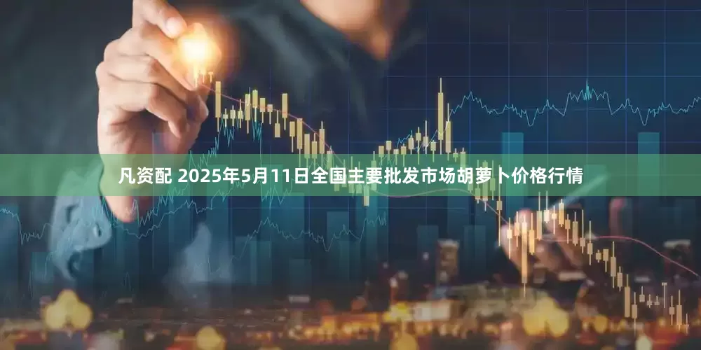凡资配 2025年5月11日全国主要批发市场胡萝卜价格行情