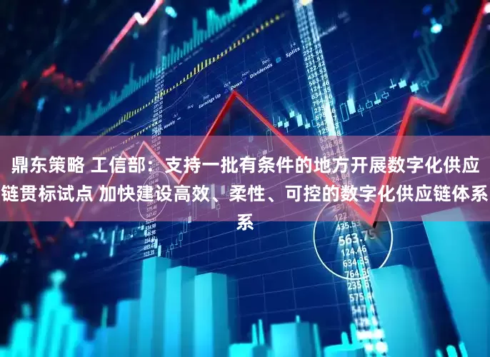 鼎东策略 工信部：支持一批有条件的地方开展数字化供应链贯标试点 加快建设高效、柔性、可控的数字化供应链体系