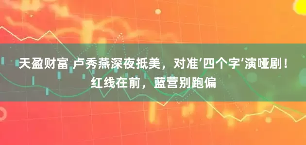 天盈财富 卢秀燕深夜抵美，对准‘四个字’演哑剧！红线在前，蓝营别跑偏